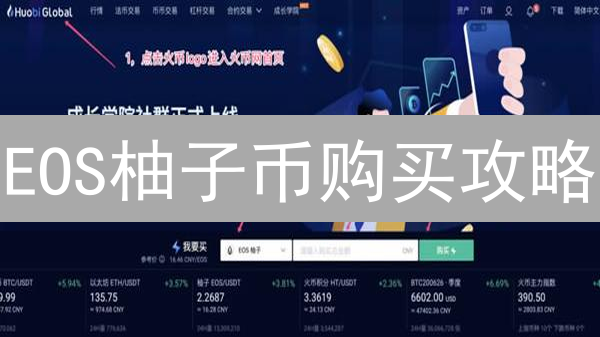 EOS柚子币购买攻略：新手必看！3种支付方式深度解析