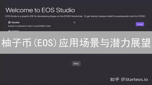 柚子币(EOS)应用场景与潜力展望：DApp与企业级解决方案
