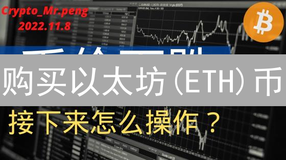 购买以太坊(ETH)币：新手入门指南与必备知识