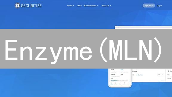 Enzyme(MLN)：去中心化资产管理的创新未来