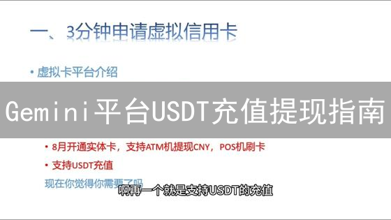 Gemini平台USDT充值提现指南：账户准备与版本选择