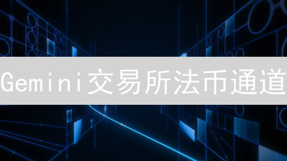 Gemini交易所法币通道：连接传统金融与加密货币世界的桥梁