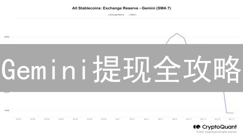 Gemini提现全攻略：快速安全转移你的数字资产？