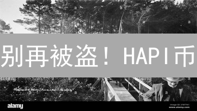 别再被盗！HAPI币：你的加密资产守护神？😱