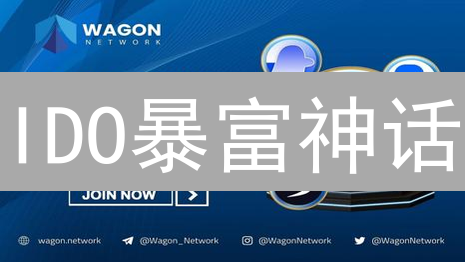 IDO暴富神话？参与前必看：风险与机遇并存！