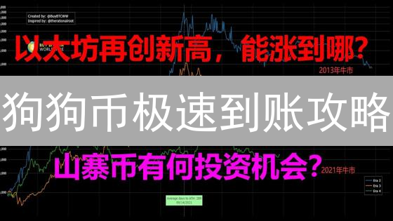 狗狗币极速到账攻略：新手欧易(OKX)兑换DOGE必读！