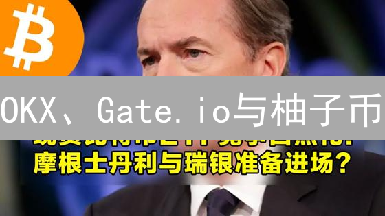 OKX、Gate.io与柚子币：交易所与公链的竞合分析