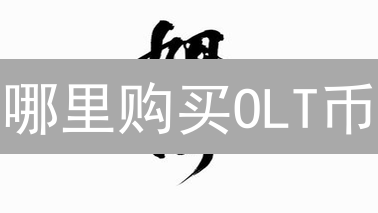 哪里购买OLT币？中心化与去中心化交易所选择指南