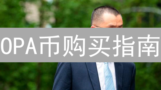OPA币购买指南：哪里购买OPA币最划算？全面渠道分析