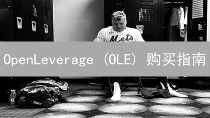 OpenLeverage (OLE) 购买指南：详细步骤与平台选择建议