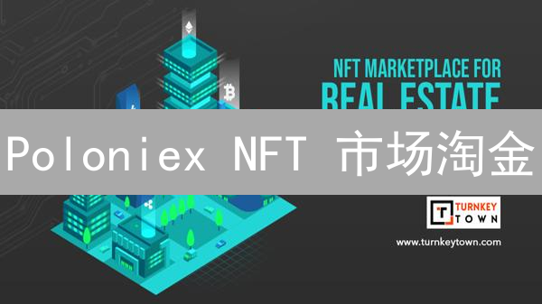 Poloniex NFT 市场淘金：新手攻略，掘金数字艺术！