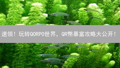 速领！玩转QORPO世界，QR幣暴富攻略大公开！