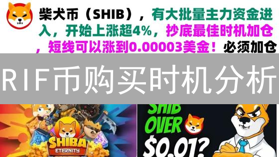 RIF币购买时机分析：多维度策略与影响因素解读