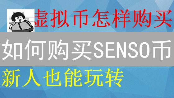 如何购买SENSO币：详细指南与注意事项