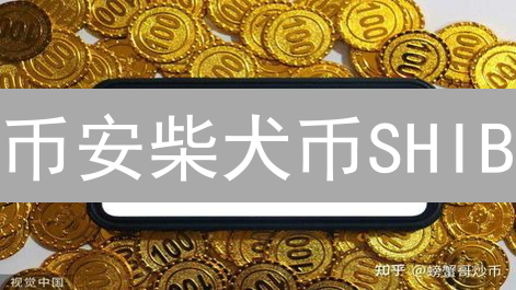 币安柴犬币SHIB：未来前景分析与思考
