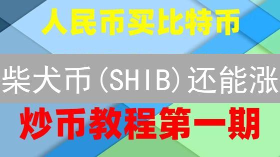 柴犬币(SHIB)还能涨？欧易交易指南与未来潜力深度剖析！
