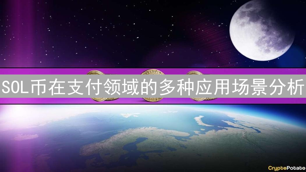 SOL币在支付领域的多种应用场景分析