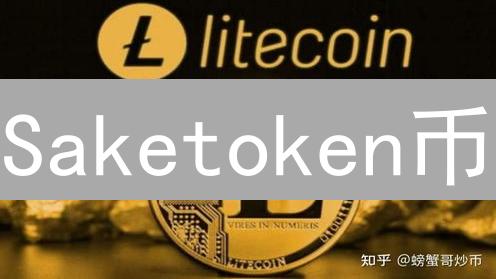 Saketoken币：下一个百倍币？深度解析它的机会与挑战！