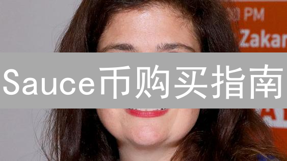 Sauce币购买指南：全面解析购买渠道与交易步骤