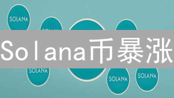 Solana币暴涨？揭秘SOL币投资价值与风险：深度评估指南