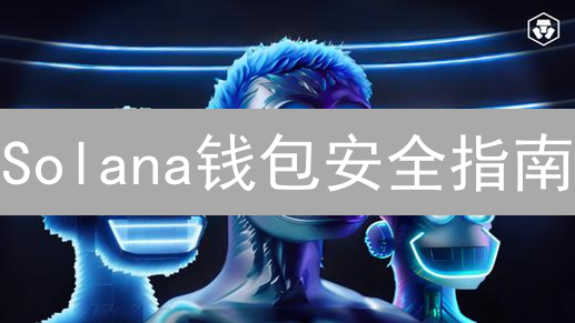 Solana钱包安全指南：如何避免资金损失？