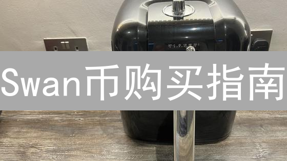 Swan币购买指南：入门到进阶，安全投资攻略