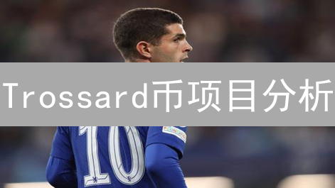 Trossard币项目分析：基于币安平台的DeFi创新实践