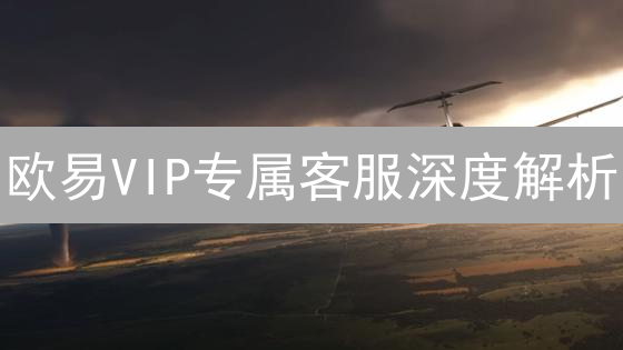 欧易VIP专属客服深度解析：权益与服务体验