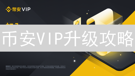 币安VIP升级攻略：速享低费率，解锁专属权益！