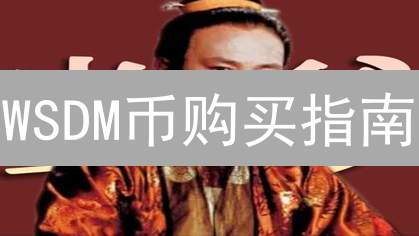 WSDM币购买指南：新手必看！抓住 WisdomiseAI 暴涨机会？