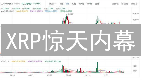 XRP惊天内幕：跨境支付的隐私噩梦？真相远比你想象的更复杂！