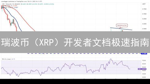 瑞波币（XRP）开发者文档极速指南：最新下载与精要解读