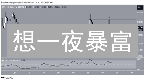 想一夜暴富？你得懂XRP！新手也能轻松搞定的秘籍！