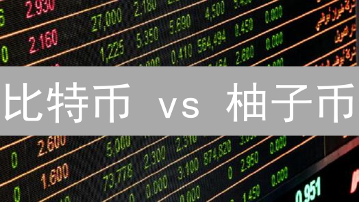 比特币 vs 柚子币：谁是未来数字货币之王？深度对比！